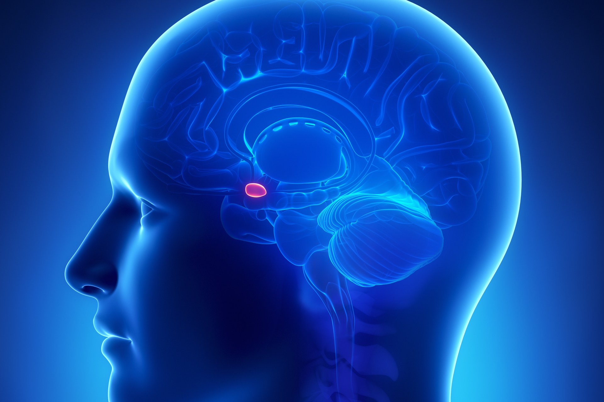 Researchers stimulate human amygdala for first time; breathing loss ...