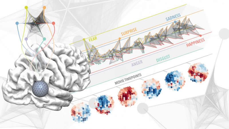 How emotions are mapped in the brain – breathwork-science
