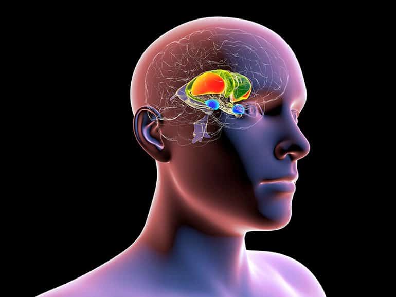 Why the Memory of Fear Is Seared Into Our Brains – breathwork-science