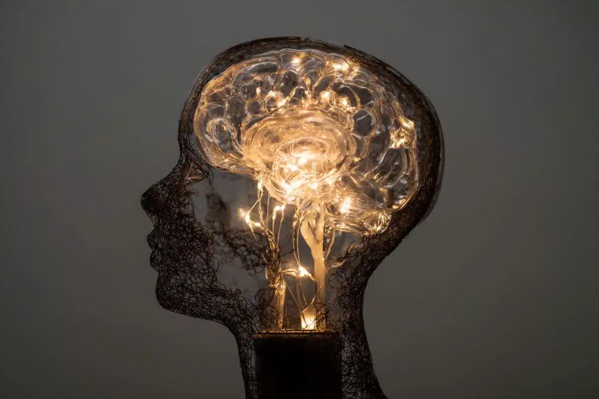 Brain Switch Identified for Unlearning Fear Faster – breathwork-science